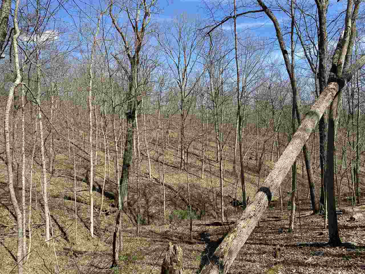 0 Mattox Road Brooksville, KY 41004 - Photo 14 of 22 Gallery Image 14