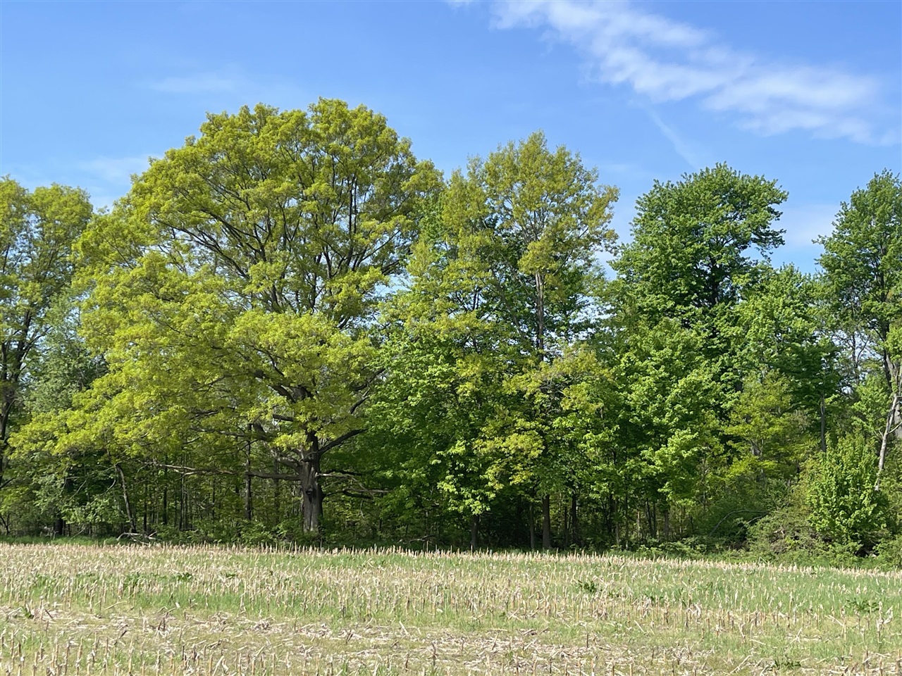 4514 22 Mile Road Northeast, Unit PARCEL 1 Sand Lake, MI 49343 - Photo 2 of 17