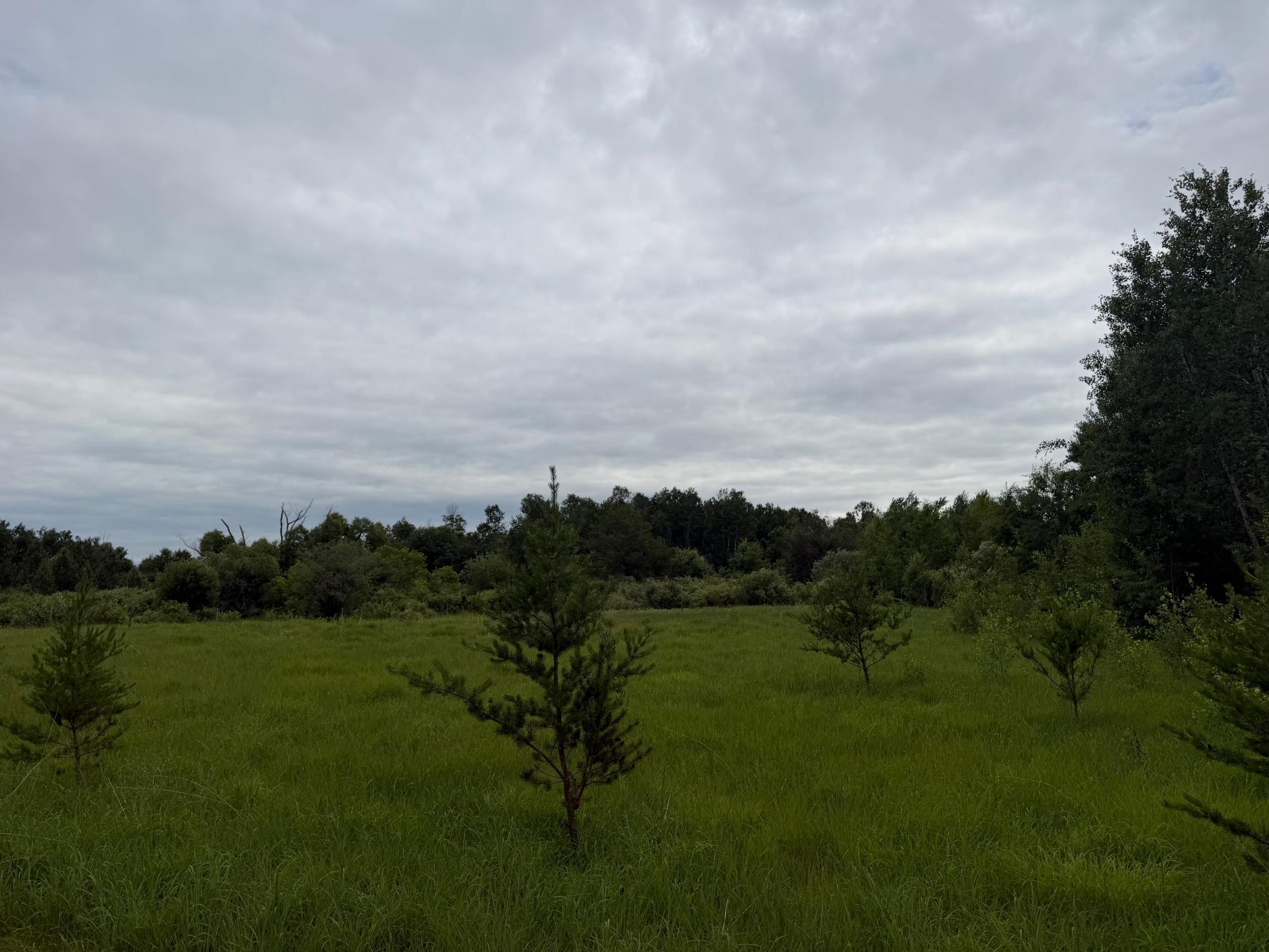 Tbd 350th Street Sebeka, MN 56477 - Photo 54 of 100