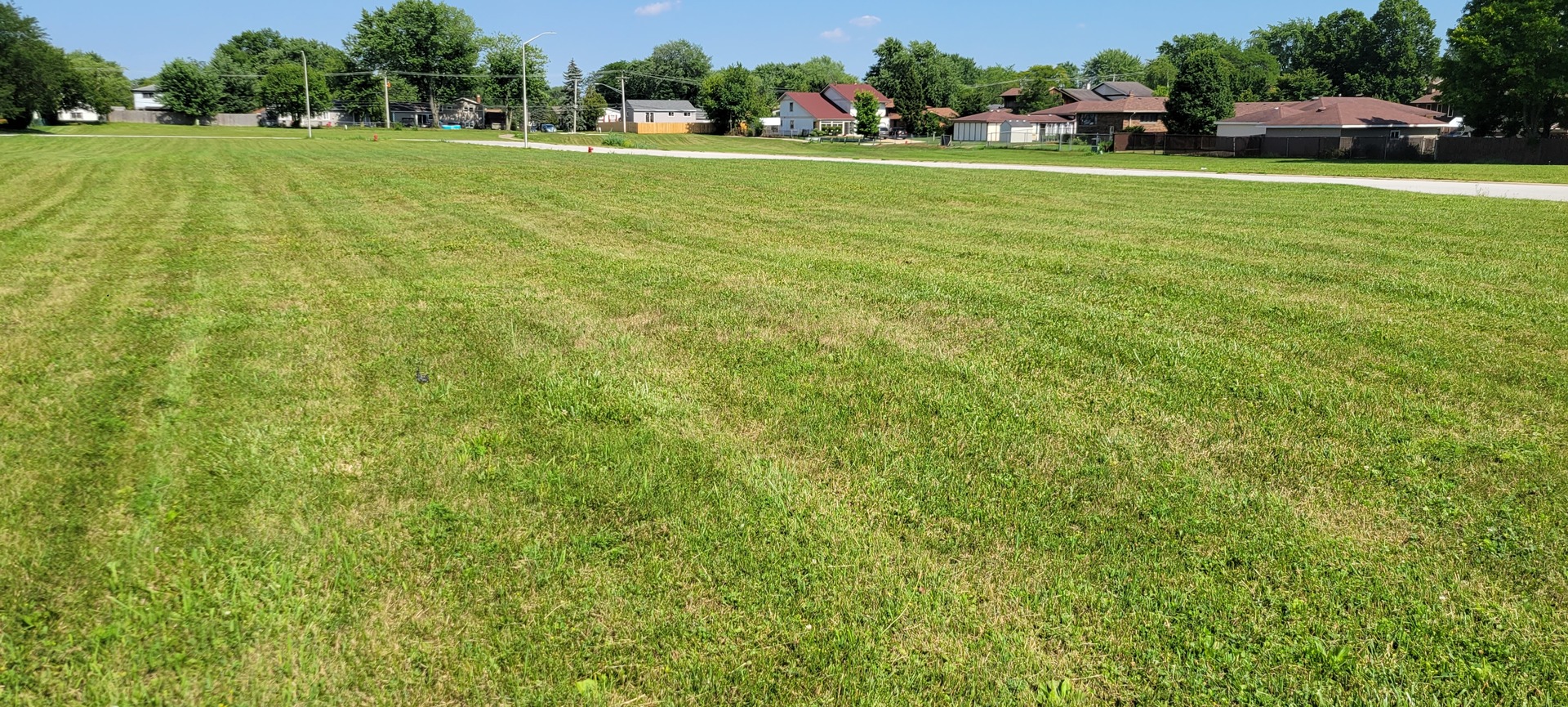 16352 West 169th Place Oak Forest, IL 60452 - Photo 4 of 7 a view of field with grass and trees