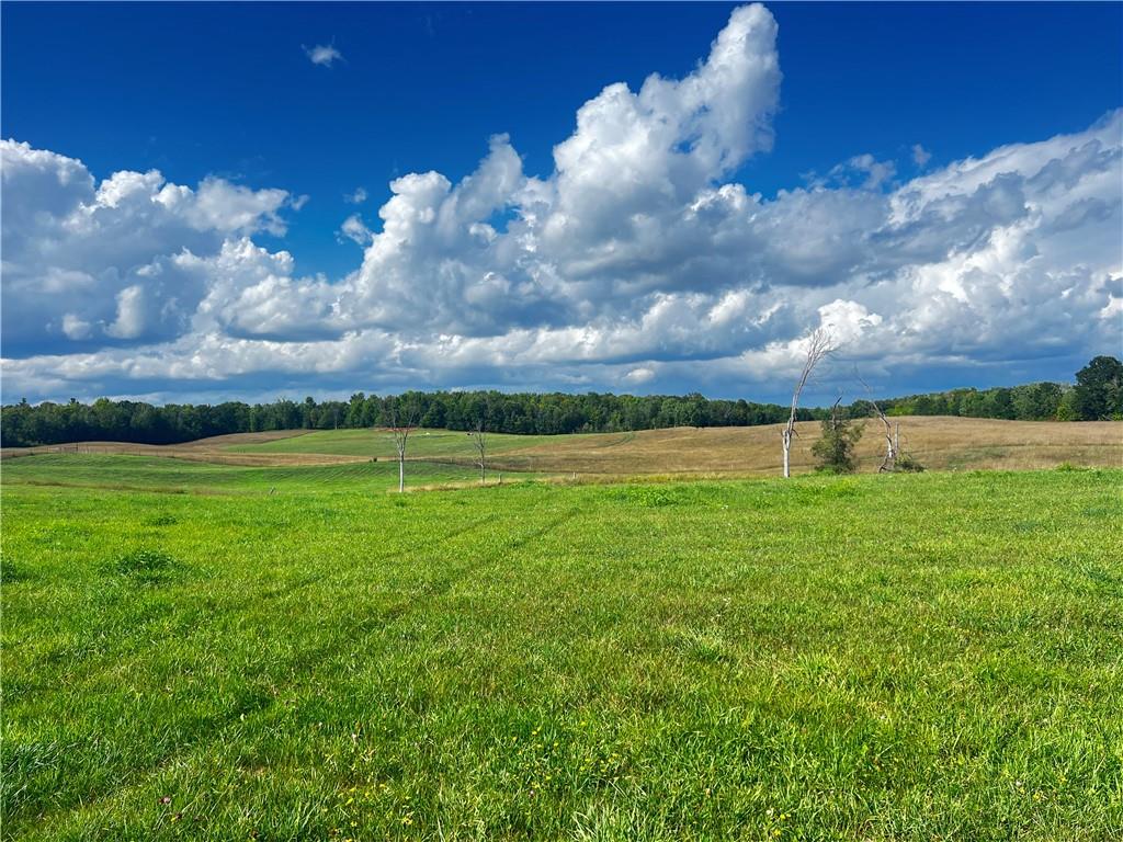 0 County Rd D Birchwood, WI 54817 - Photo 1 of 1 Gallery Image 1