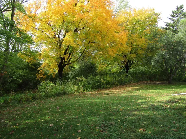 $323,000 | 805 South 10th Street, Montevideo, MN 56265