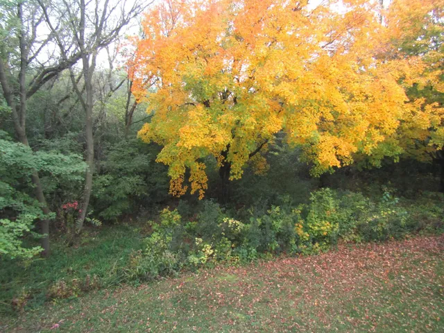 $323,000 | 805 South 10th Street, Montevideo, MN 56265