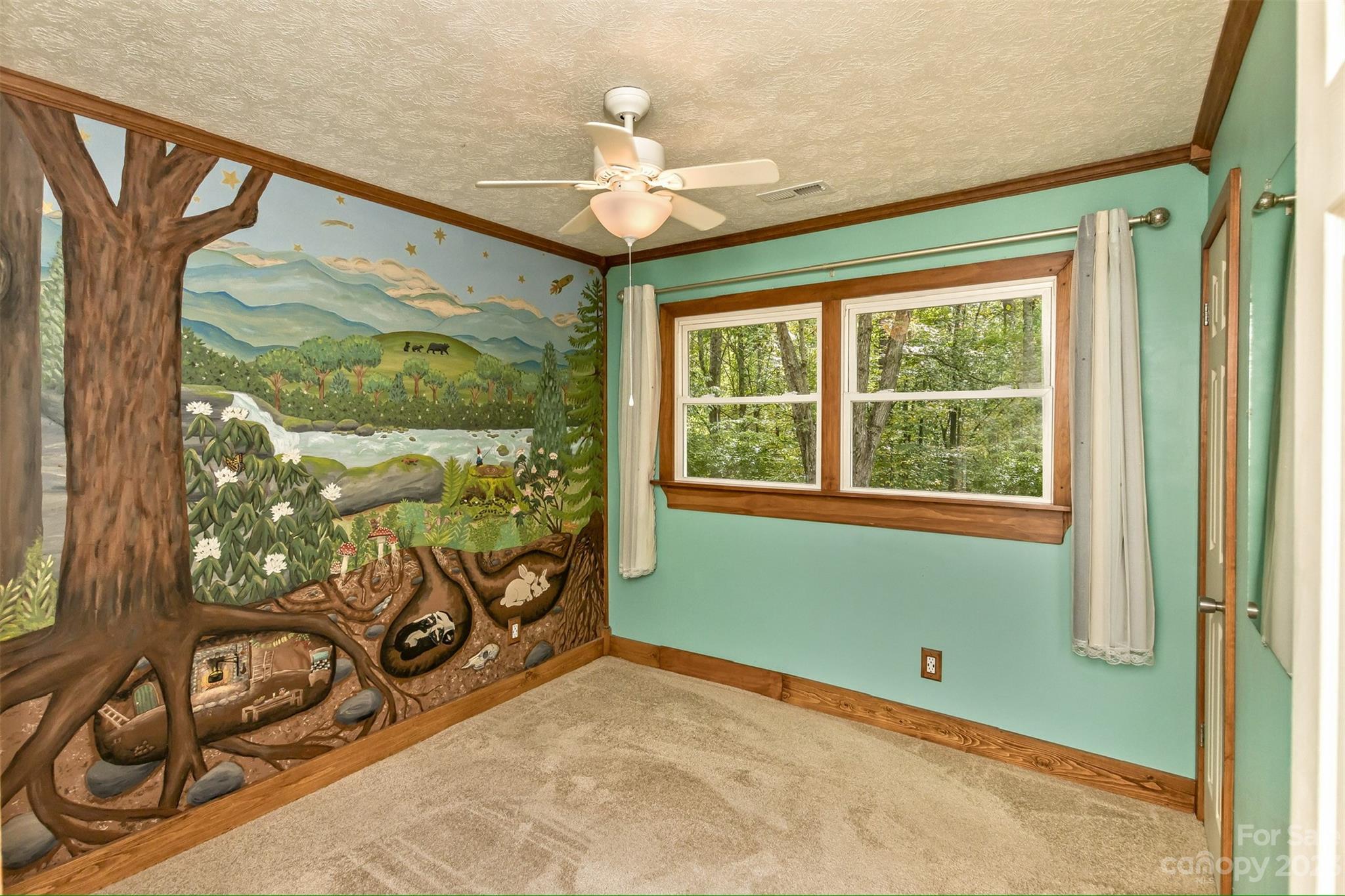 38 Boxturtle Road Candler, NC 28715 - Photo 17 of 41 Gallery Image 17