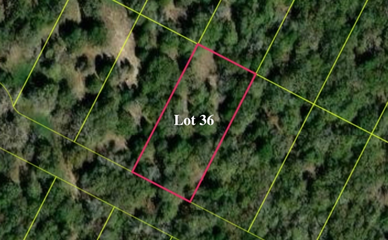 136 Las Alturas Drive Elgin, TX 78621 - Photo 5 of 6 a close up of a plant