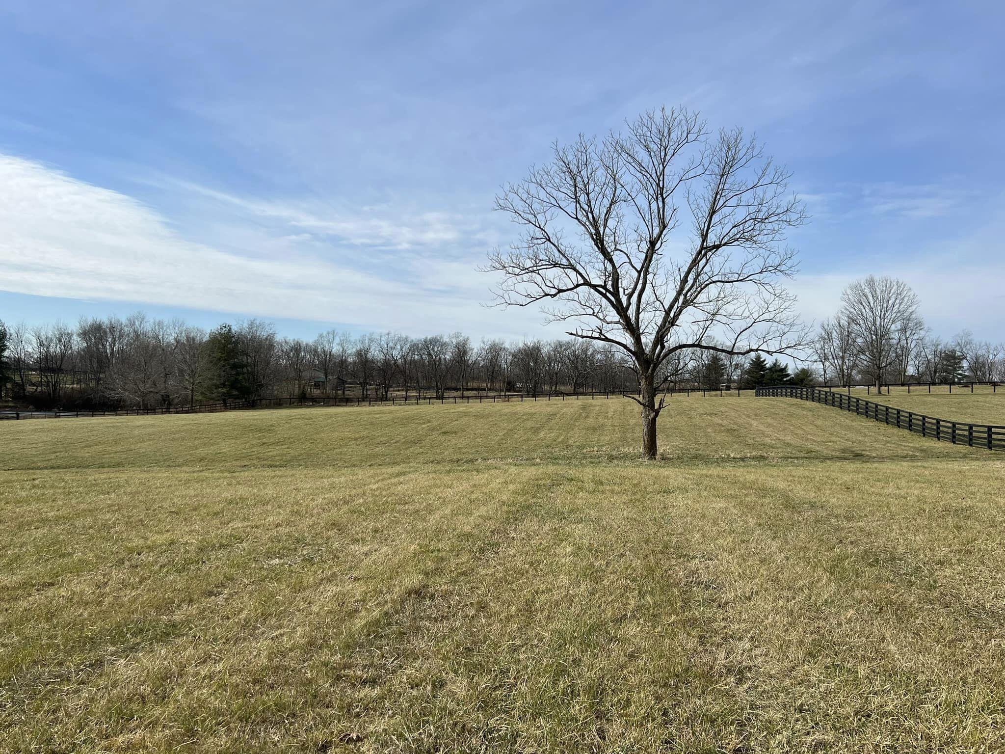 0 Bryan Station Road Paris, KY 40361 - Photo 10 of 12 BS4