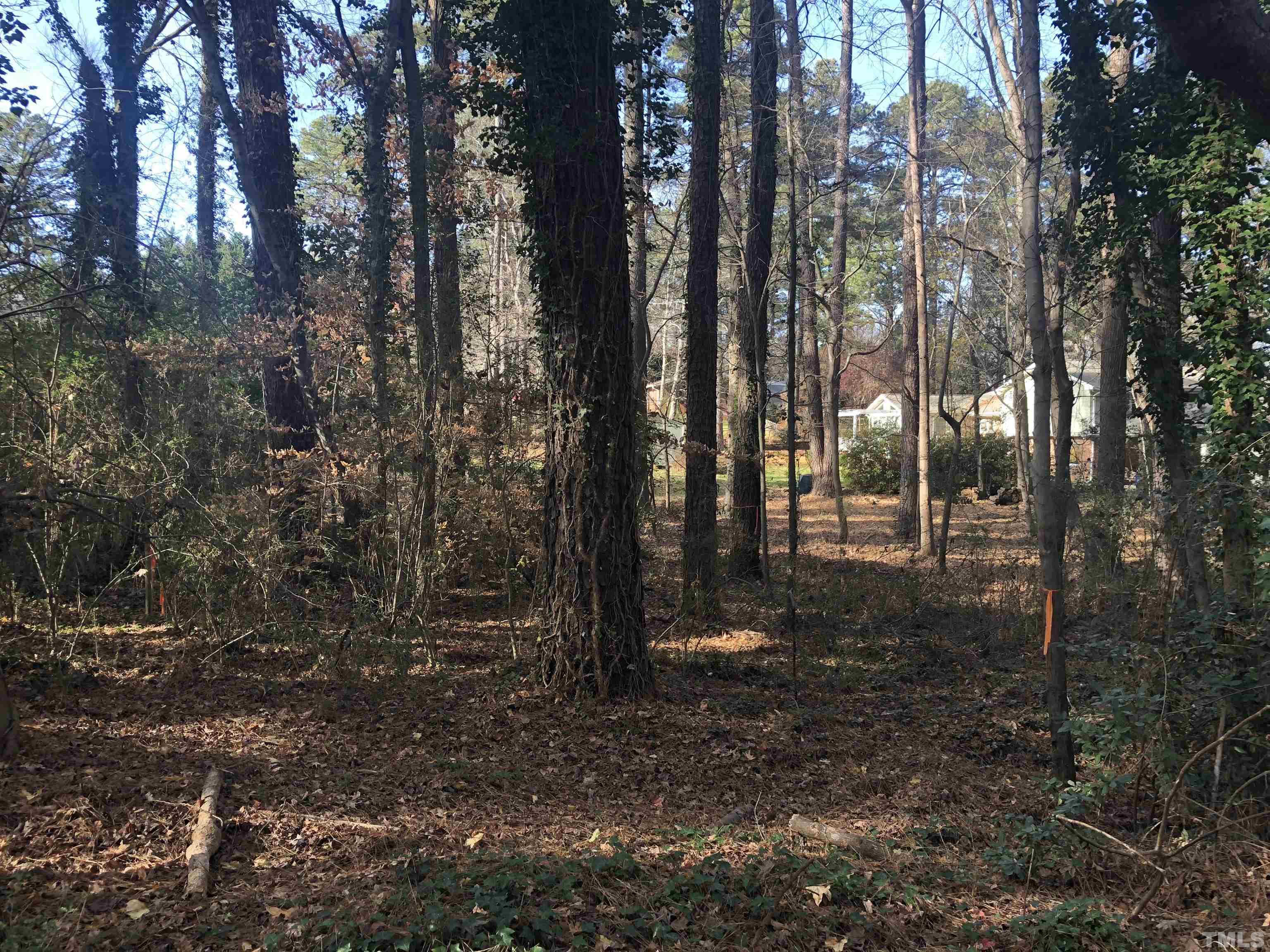 6405 Brandywine Road Raleigh, NC 27607 - Photo 3 of 6 a view of outdoor space and yard