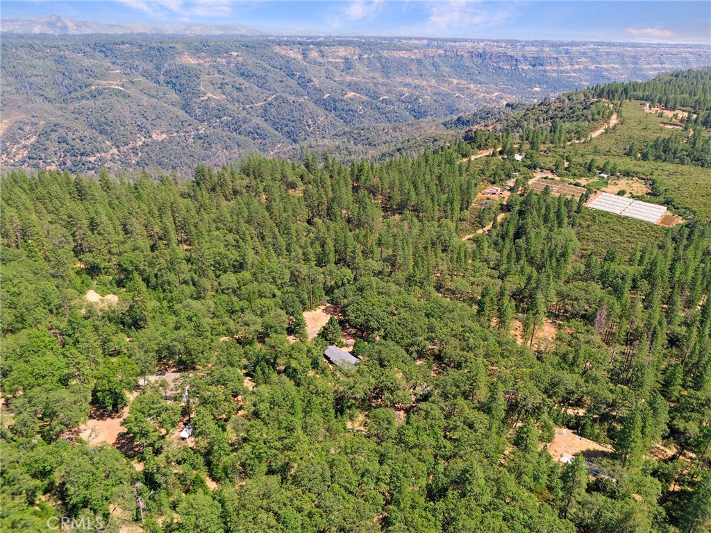 4940 Papya Road Forest Ranch, CA 95942 - Photo 43 of 67 a view of a field with a tree