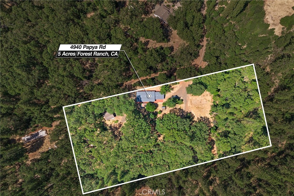 4940 Papya Road Forest Ranch, CA 95942 - Photo 44 of 67 a view of a tree in a balcony