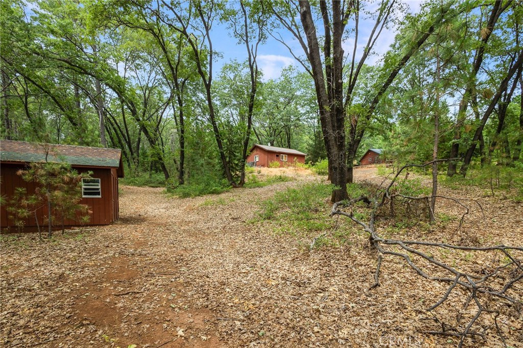 4940 Papya Road Forest Ranch, CA 95942 - Photo 58 of 67 a view of a outdoor space