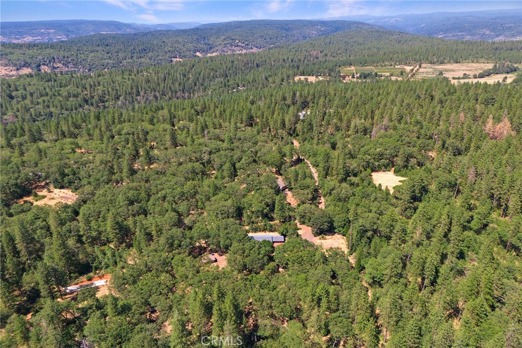 4940 Papya Road Forest Ranch, CA 95942 - Photo 61 of 67 a view of a city with lush green forest