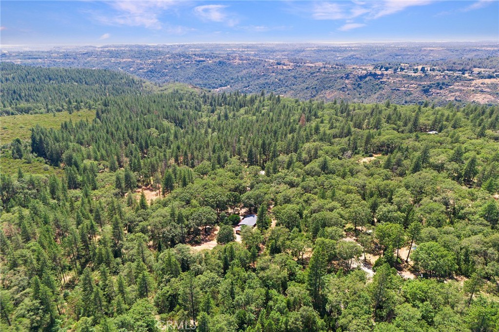 4940 Papya Road Forest Ranch, CA 95942 - Photo 63 of 67 a view of a city with lush green forest