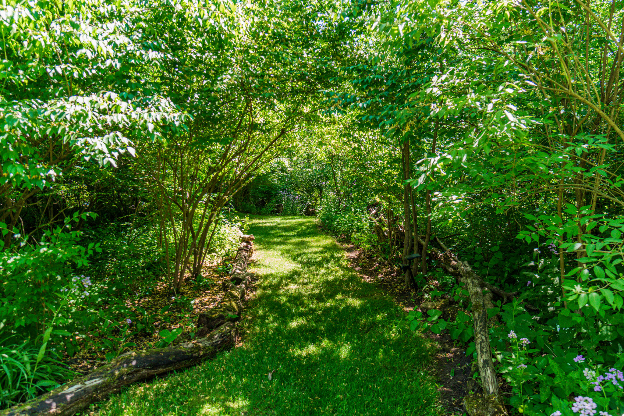 49555 Hanford Road Canton, MI 48187 - Photo 41 of 50 Hanford-62