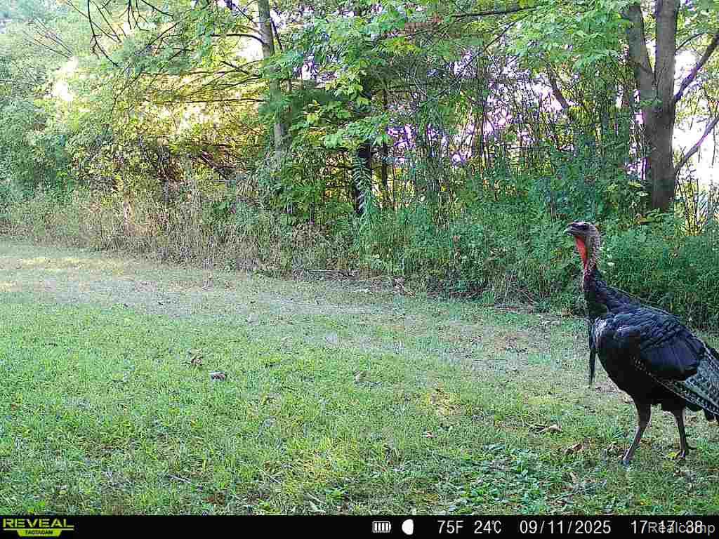 11506 Lapeer Road Davison, MI 48423 - Photo 36 of 37