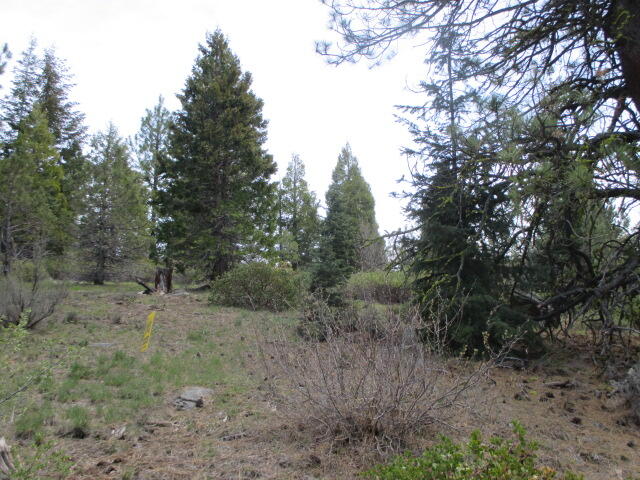 0 Night Owl Drive, Unit 2 Bonanza, OR 97623 - Photo 2 of 7 IMG_5482