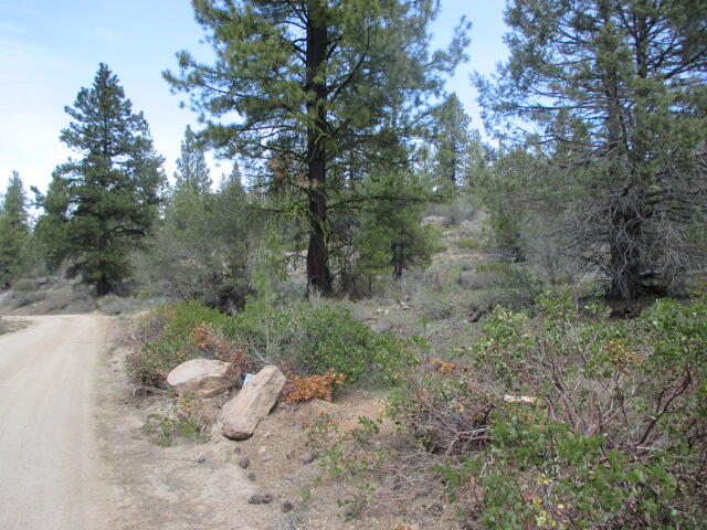 0 Night Owl Drive, Unit 2 Bonanza, OR 97623 - Photo 3 of 7 IMG_5480