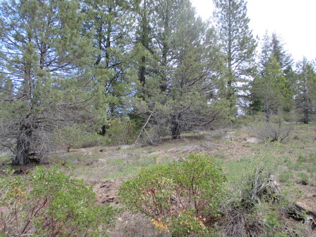 0 Night Owl Drive, Unit 2 Bonanza, OR 97623 - Photo 4 of 7 IMG_5481