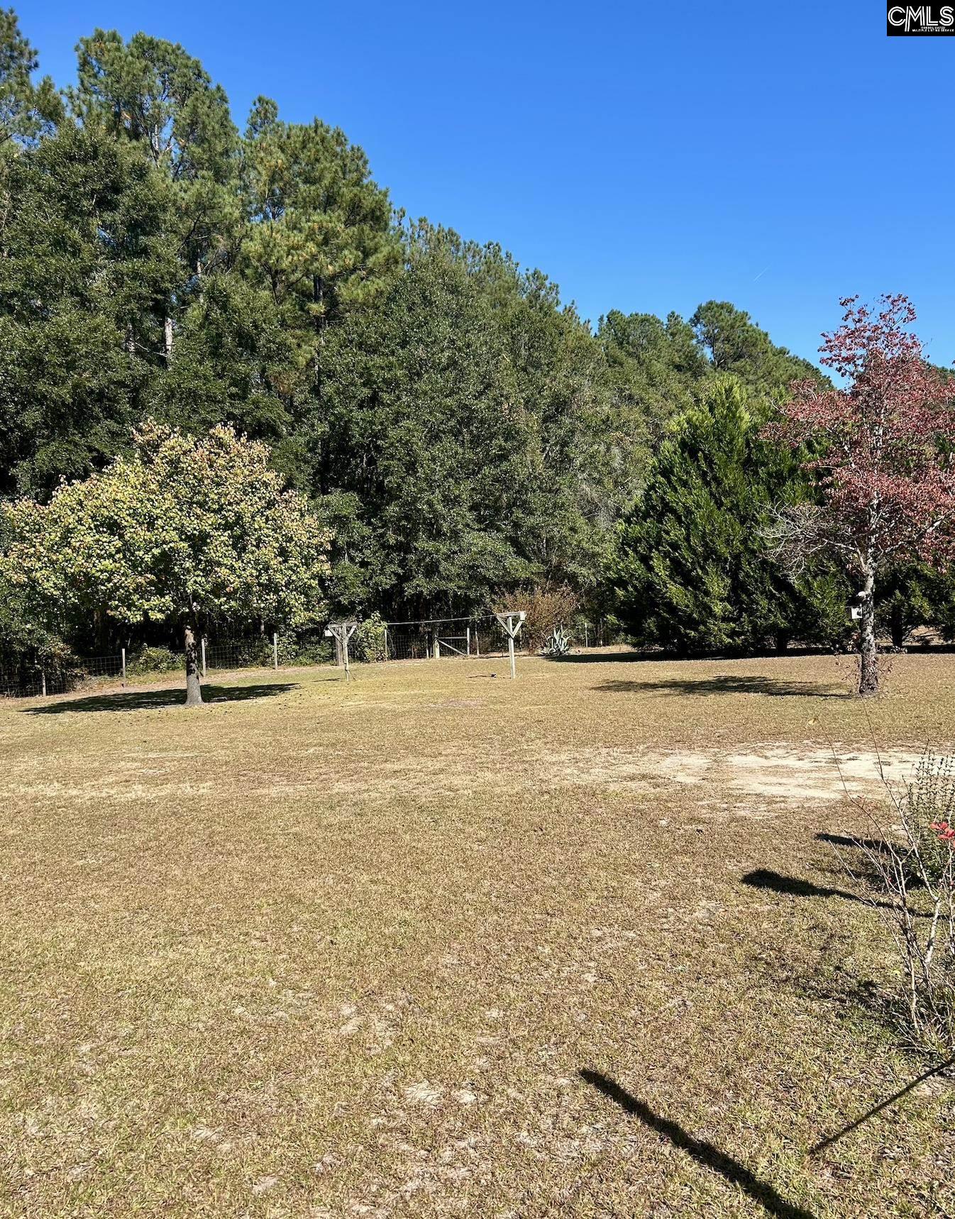 668 Briar Creek Road Branchville, SC 29432 - Photo 11 of 13