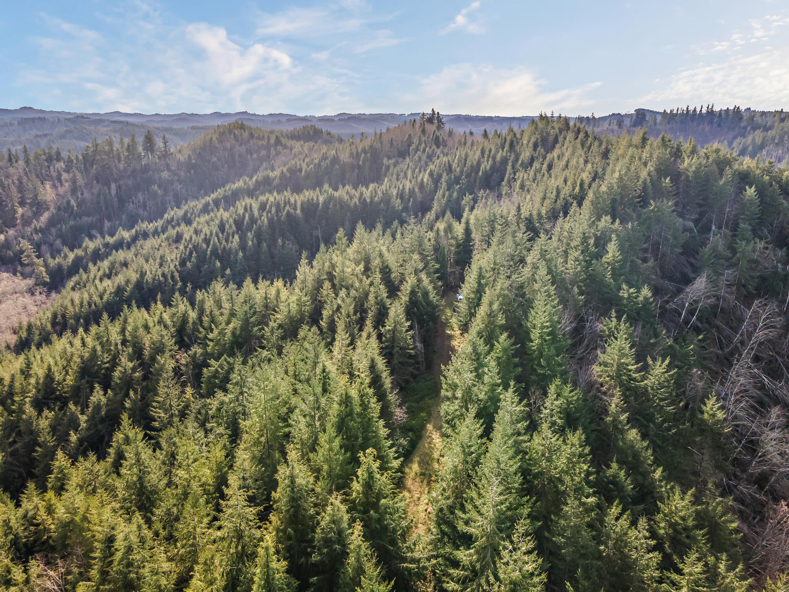 0 Criteser Loop Toledo, OR 97391 - Photo 13 of 31 DJI_0649