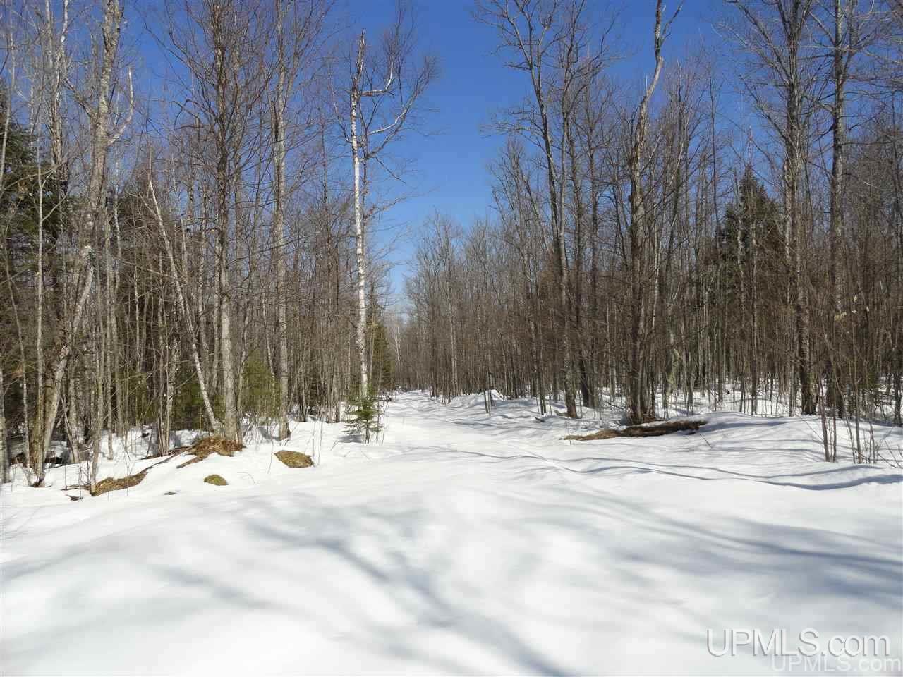 240-acres Leek Road Covington, MI 49919 - Photo 24 of 50