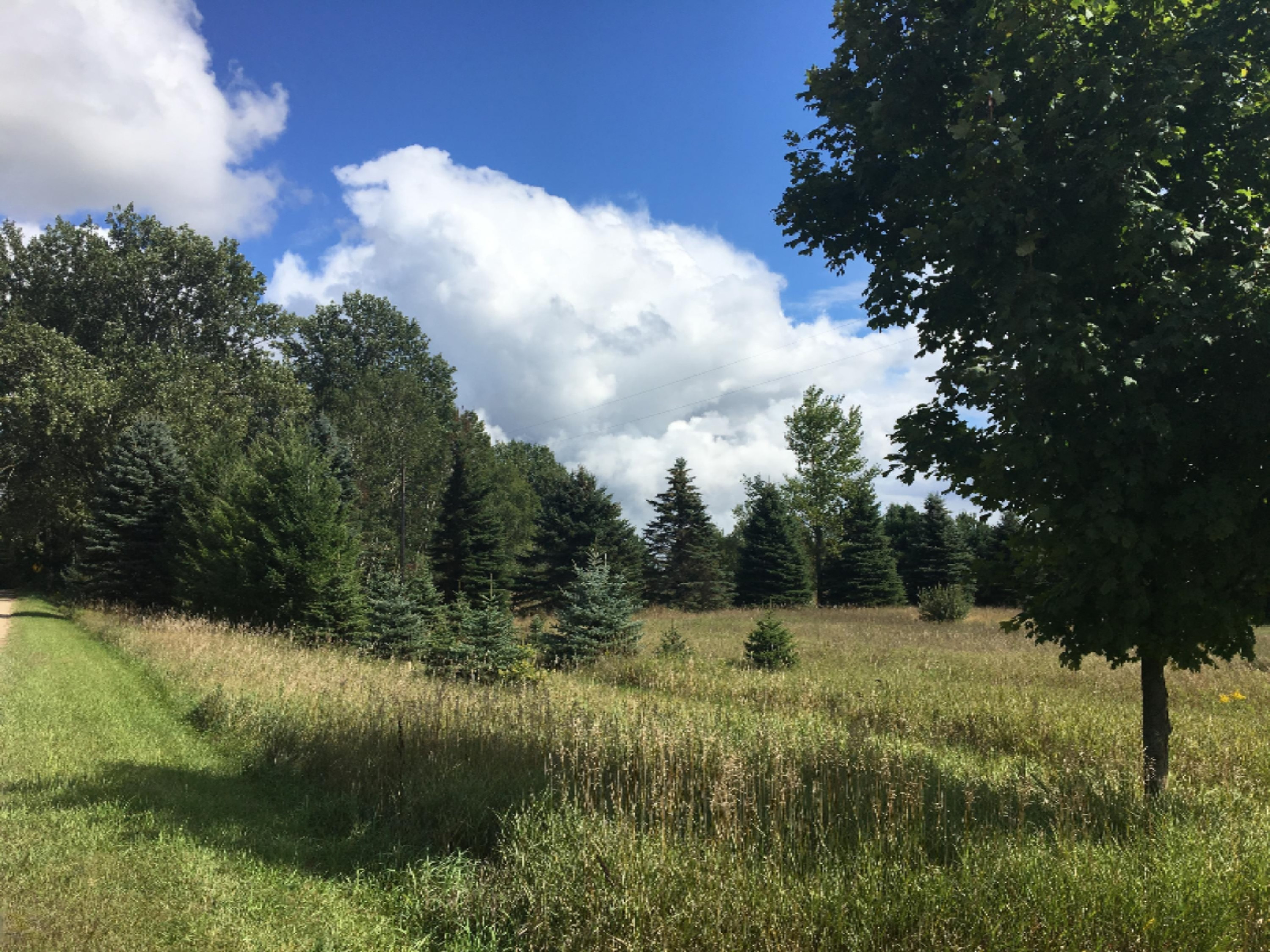 1361 West Freeman Road Free Soil, MI 49411 - Photo 41 of 43 IMG_2106