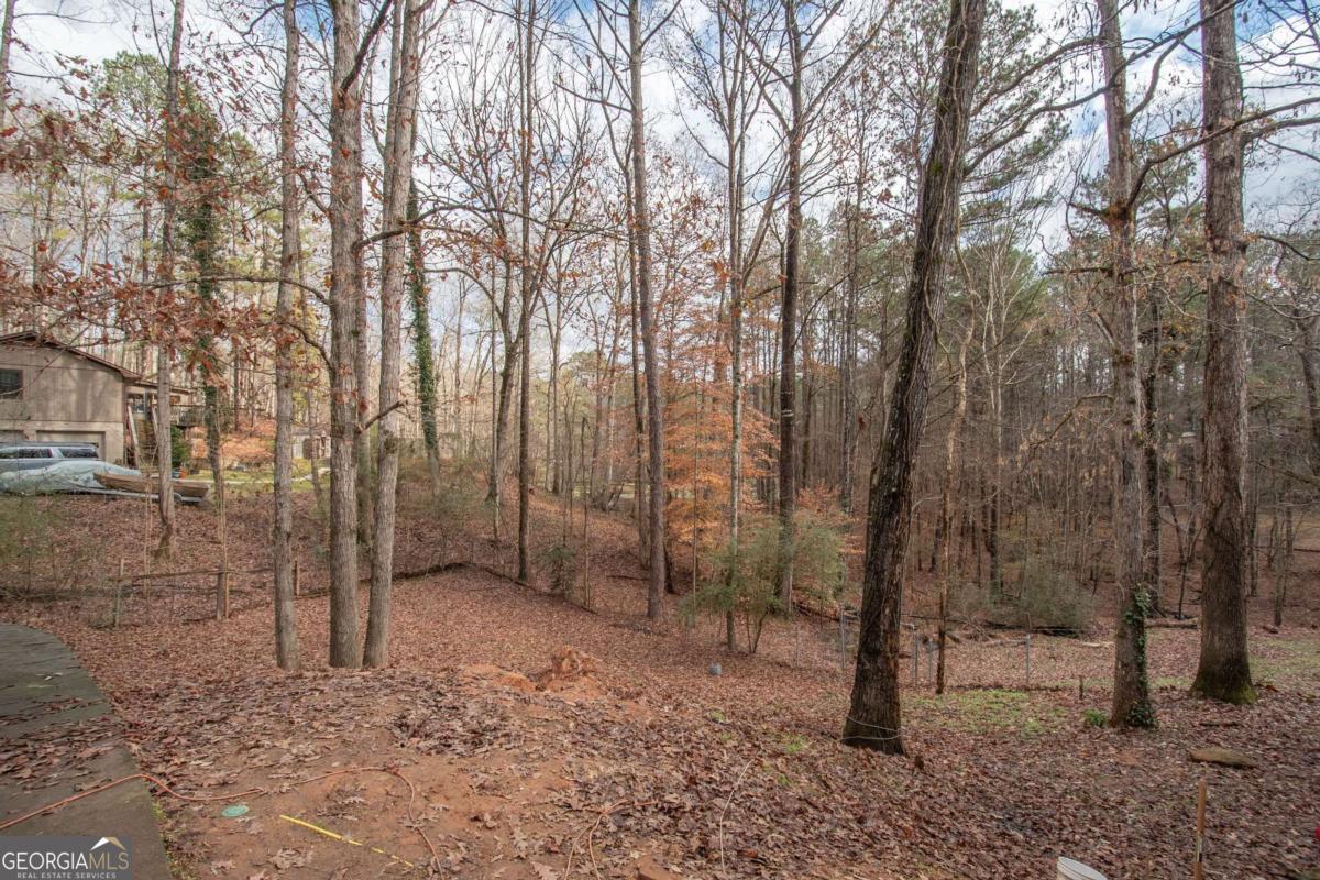 134 Rustica Drive Newnan, GA 30263 - Photo 24 of 32 a view of a forest filled with trees