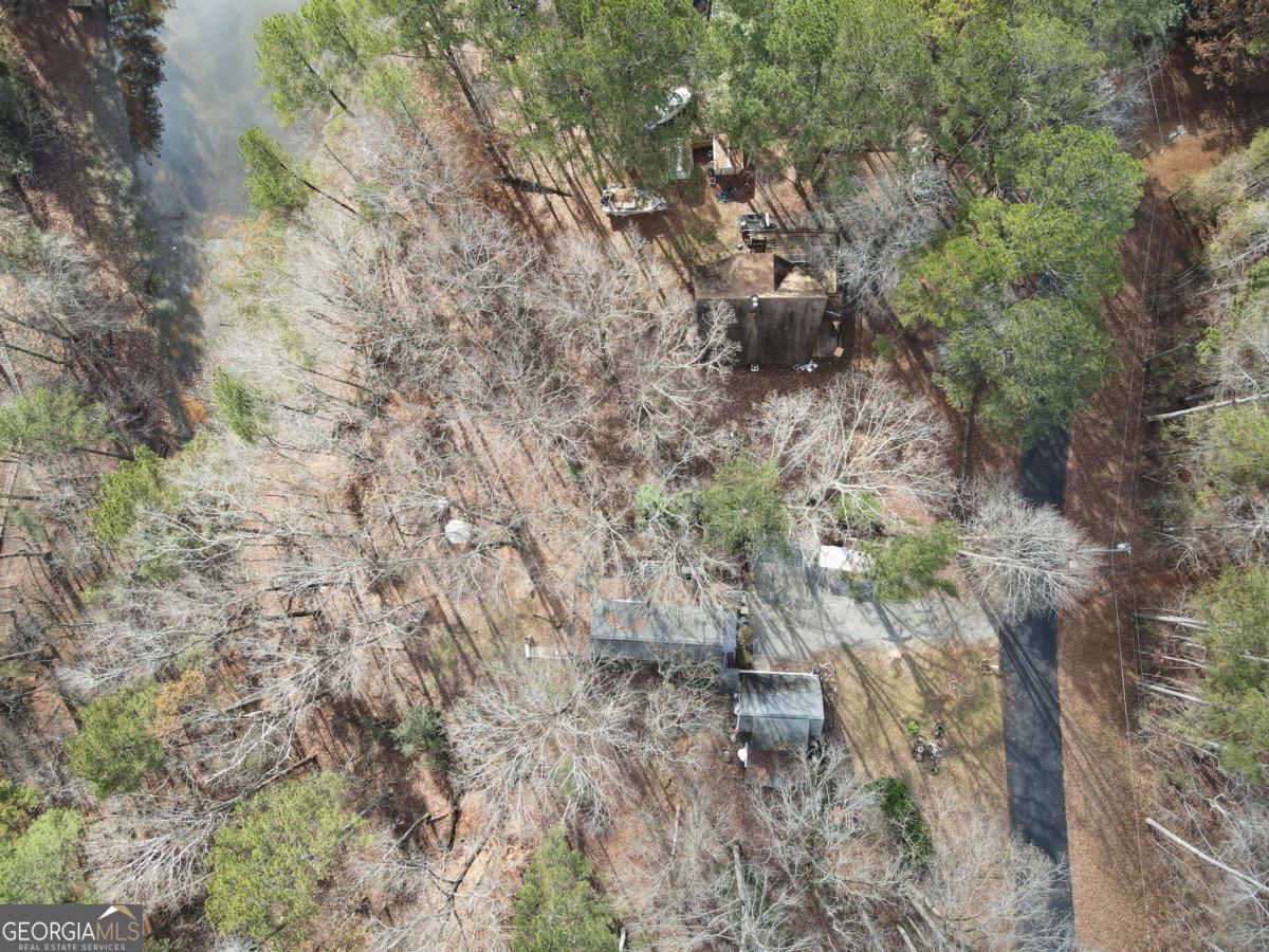 134 Rustica Drive Newnan, GA 30263 - Photo 29 of 32 a view of a forest with lots of trees