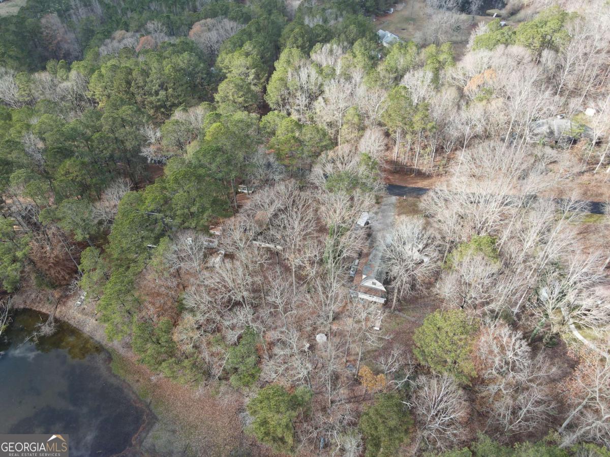 134 Rustica Drive Newnan, GA 30263 - Photo 30 of 32 a view of a yard with a tree