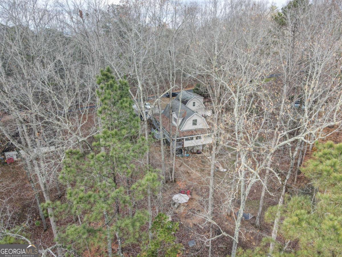 134 Rustica Drive Newnan, GA 30263 - Photo 31 of 32 a aerial view of a house with lots of trees