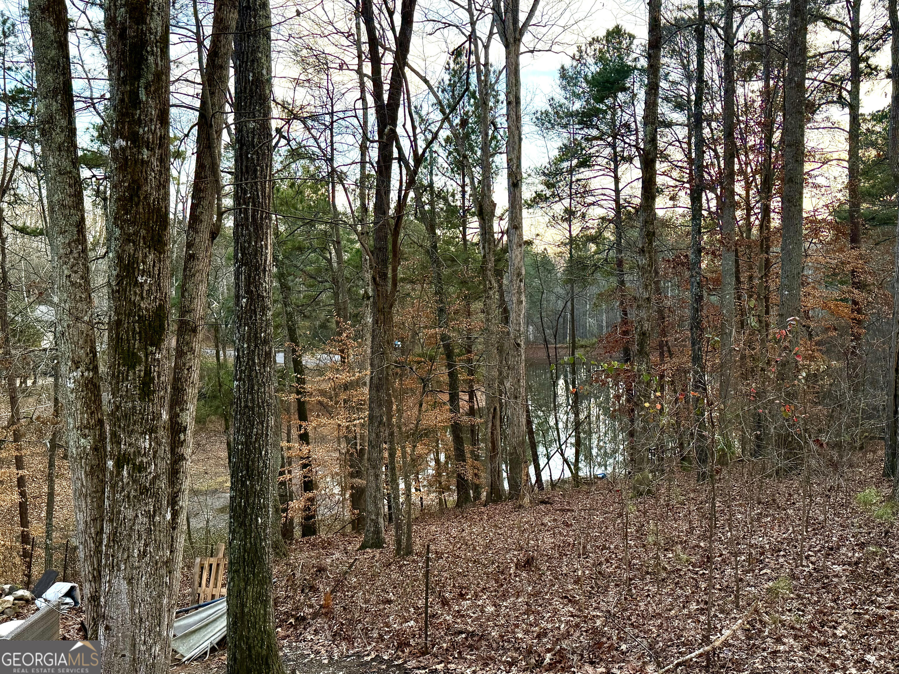 134 Rustica Drive Newnan, GA 30263 - Photo 5 of 32 a view of a forest with trees