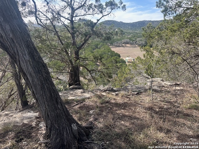 0 East Bear Springs Pipe Creek, TX 78063 - Photo 11 of 20