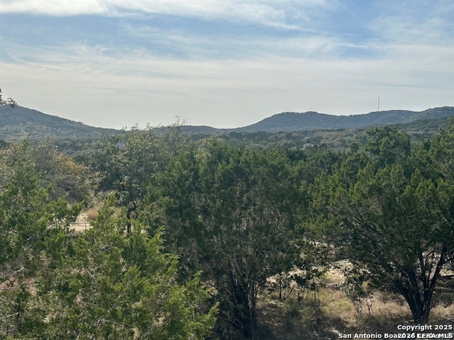 0 East Bear Springs Pipe Creek, TX 78063 - Photo 12 of 20