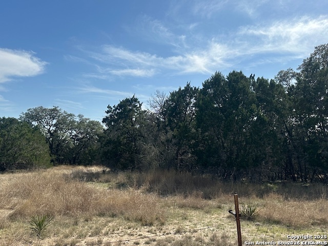 0 East Bear Springs Pipe Creek, TX 78063 - Photo 14 of 20