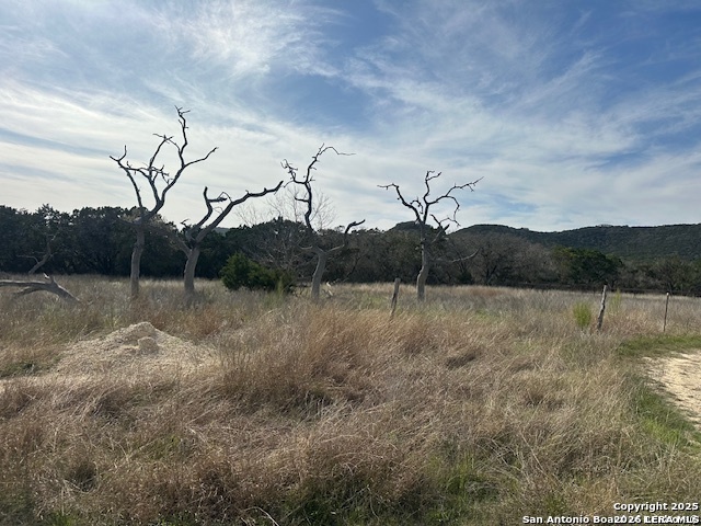 0 East Bear Springs Pipe Creek, TX 78063 - Photo 16 of 20