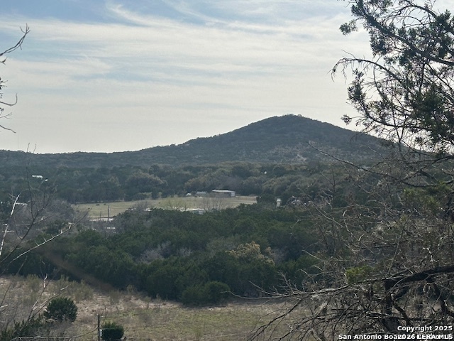 0 East Bear Springs Pipe Creek, TX 78063 - Photo 20 of 20