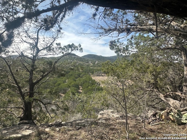 0 East Bear Springs Pipe Creek, TX 78063 - Photo 8 of 20