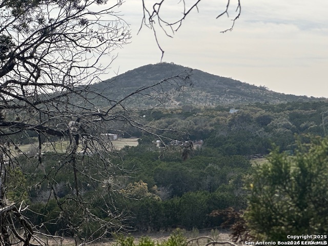 0 East Bear Springs Pipe Creek, TX 78063 - Photo 9 of 20