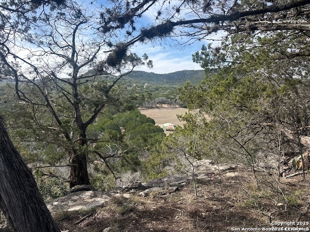 0 East Bear Springs Pipe Creek, TX 78063 - Photo 10 of 20