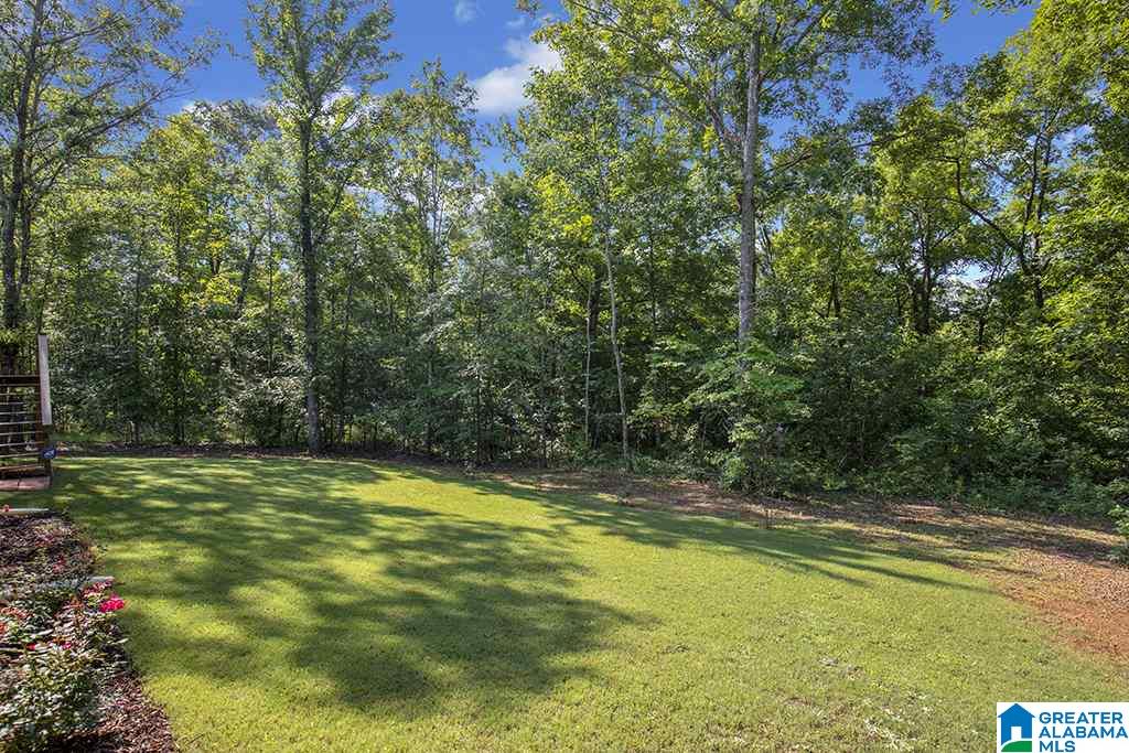 105 Highland View Drive Riverside, AL 35135 - Photo 5 of 28