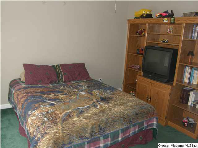 5540 Miles Spring Road Pinson, AL 35126 - Photo 11 of 28
