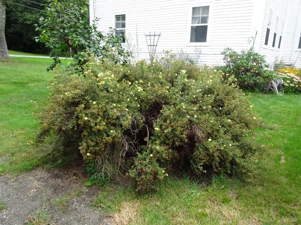 105 Main Road North Hampden, ME 04444 - Photo 29 of 31 Multiple spaces for outdoor activity