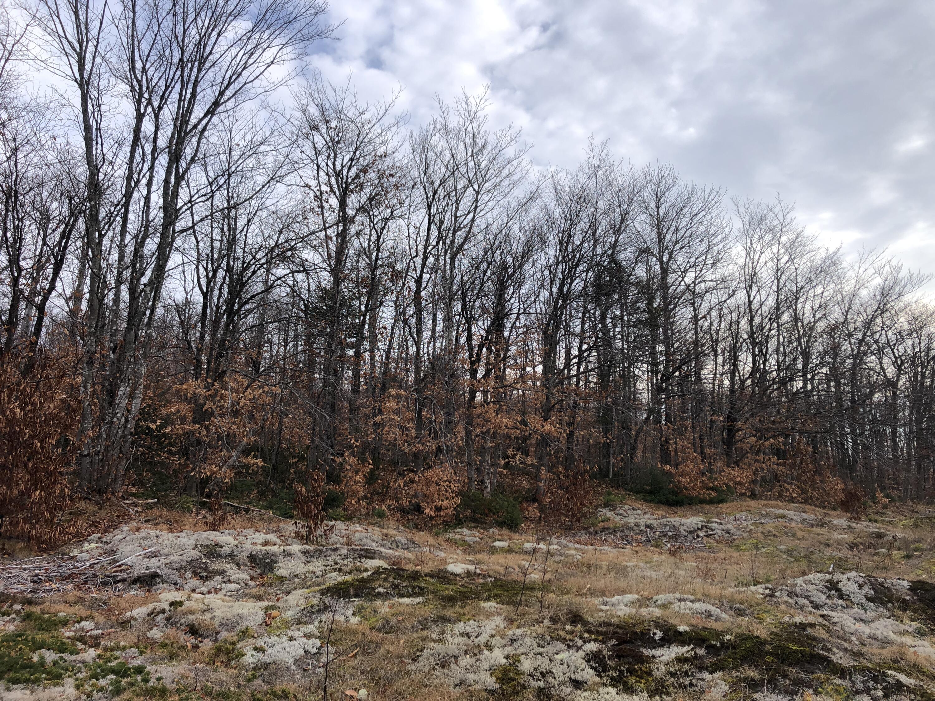 23 Rista Road New Sweden, ME 04762 - Photo 27 of 27 23 Rista Rd New Sweden Nov 2021 (3)