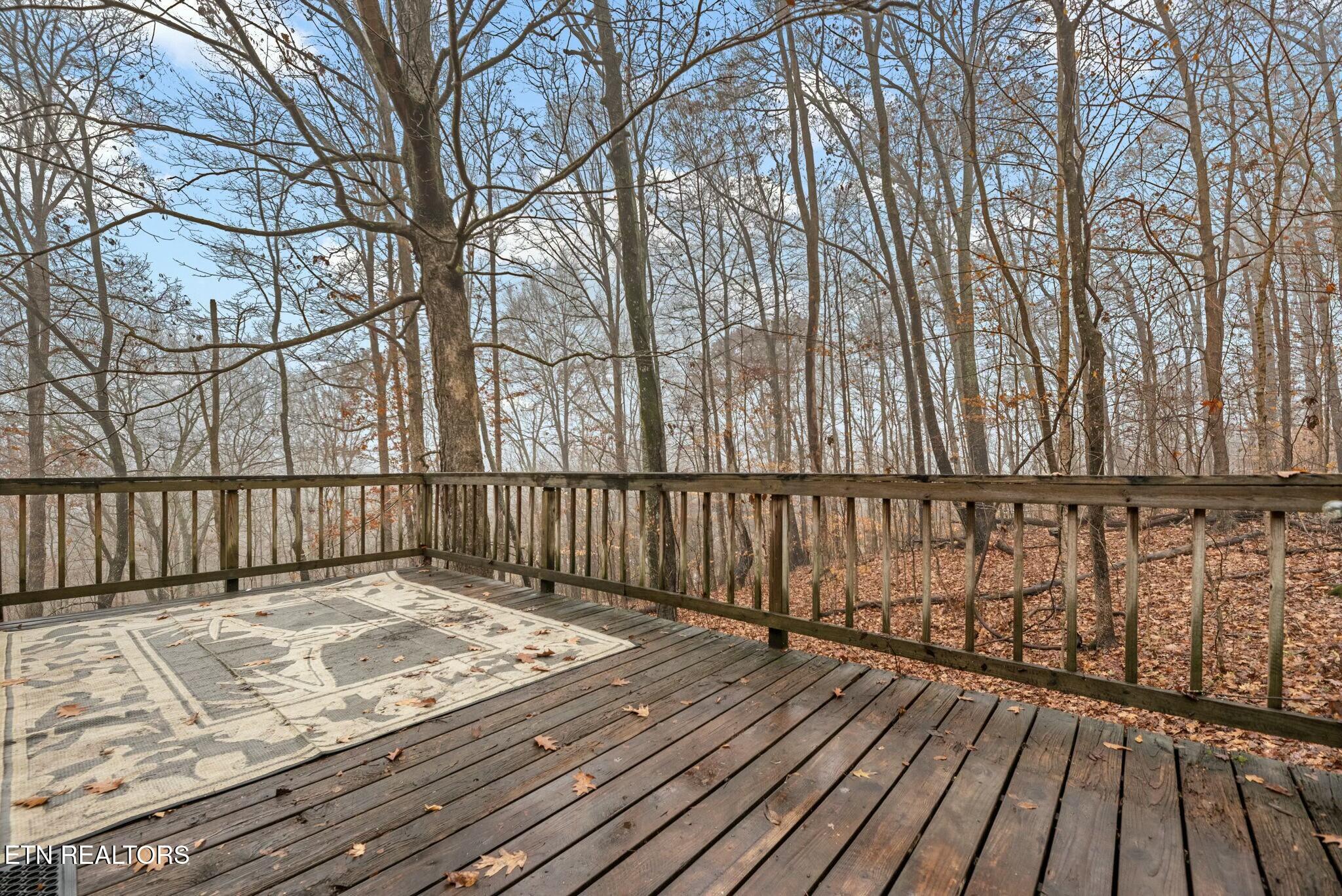 114 Loop Road Powell, TN 37849 - Photo 30 of 40 tempImageMT8HFG