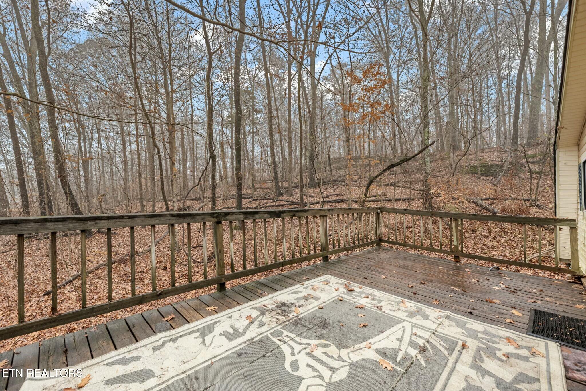 114 Loop Road Powell, TN 37849 - Photo 31 of 40 tempImageKK96CL