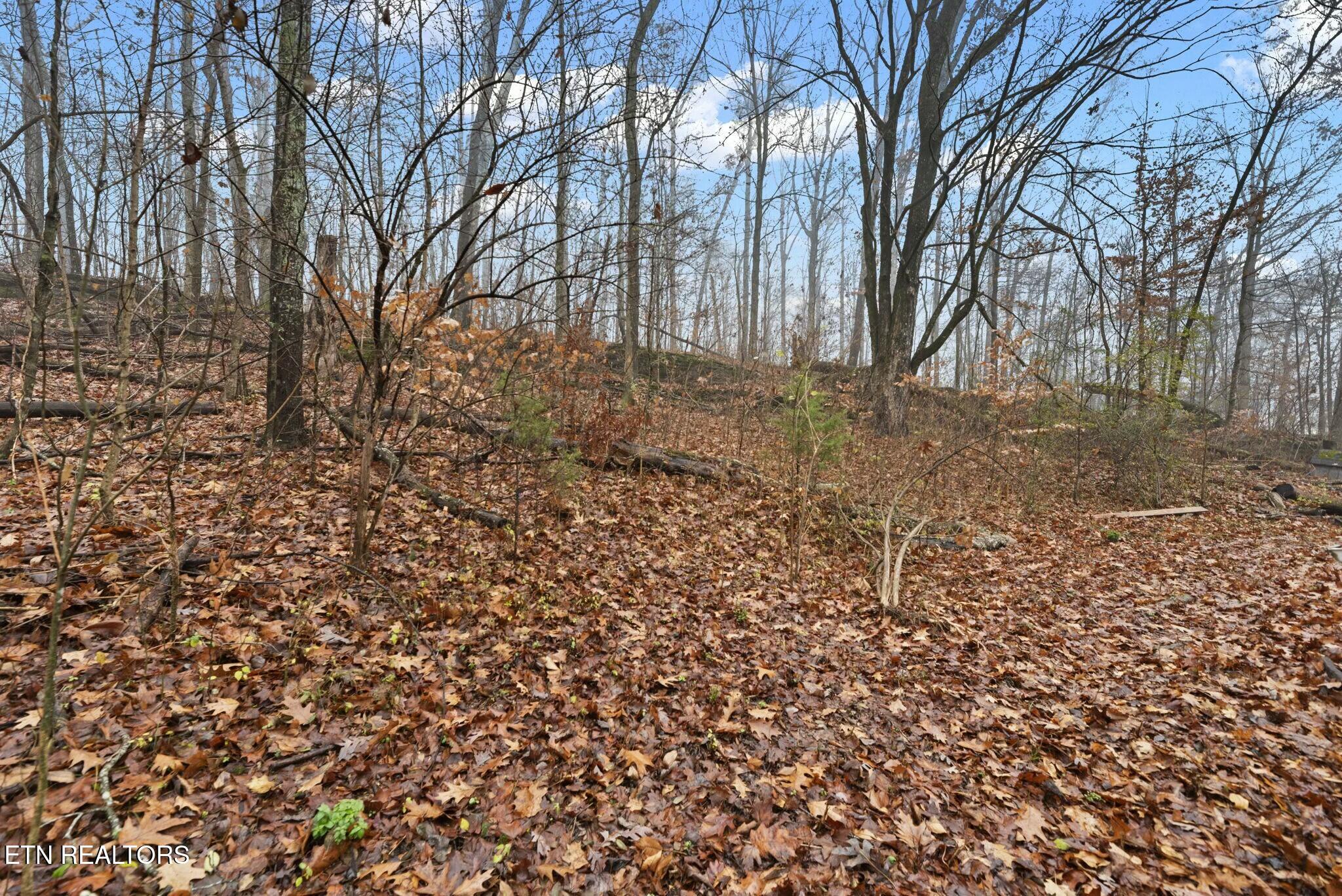 114 Loop Road Powell, TN 37849 - Photo 35 of 40 tempImagejzmyRm