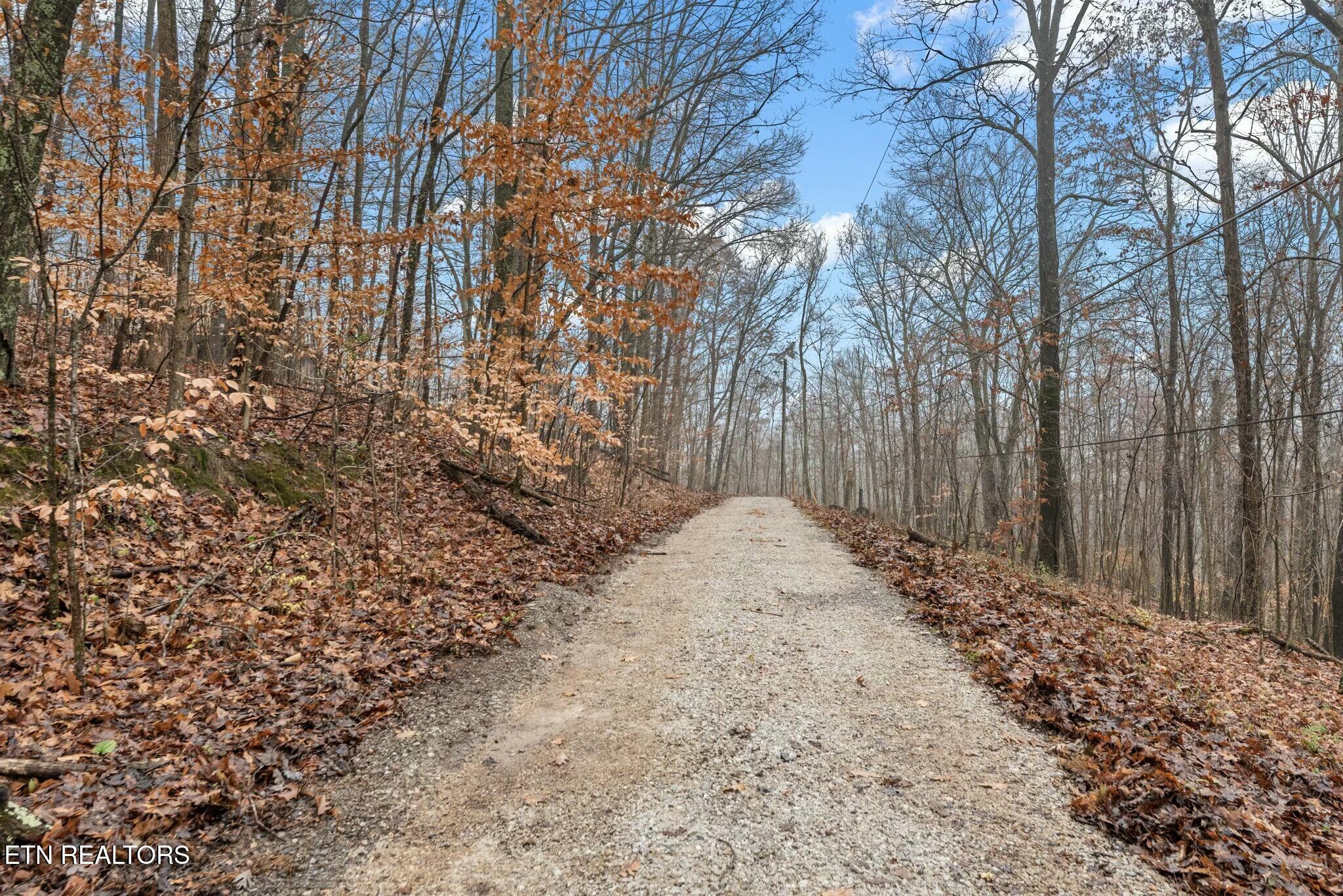 114 Loop Road Powell, TN 37849 - Photo 40 of 40 tempImageJ56Hsp