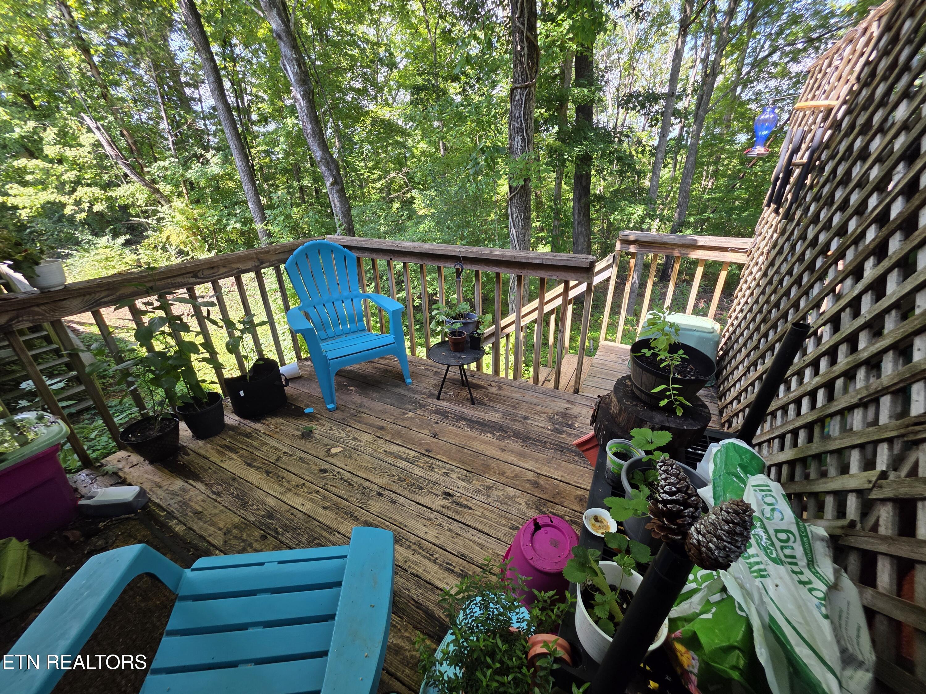 113 High Point Lane Oak Ridge, TN 37830 - Photo 21 of 24 1000005366