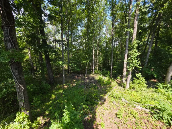 $200,000 | 113 High Point Lane, Oak Ridge, TN 37830