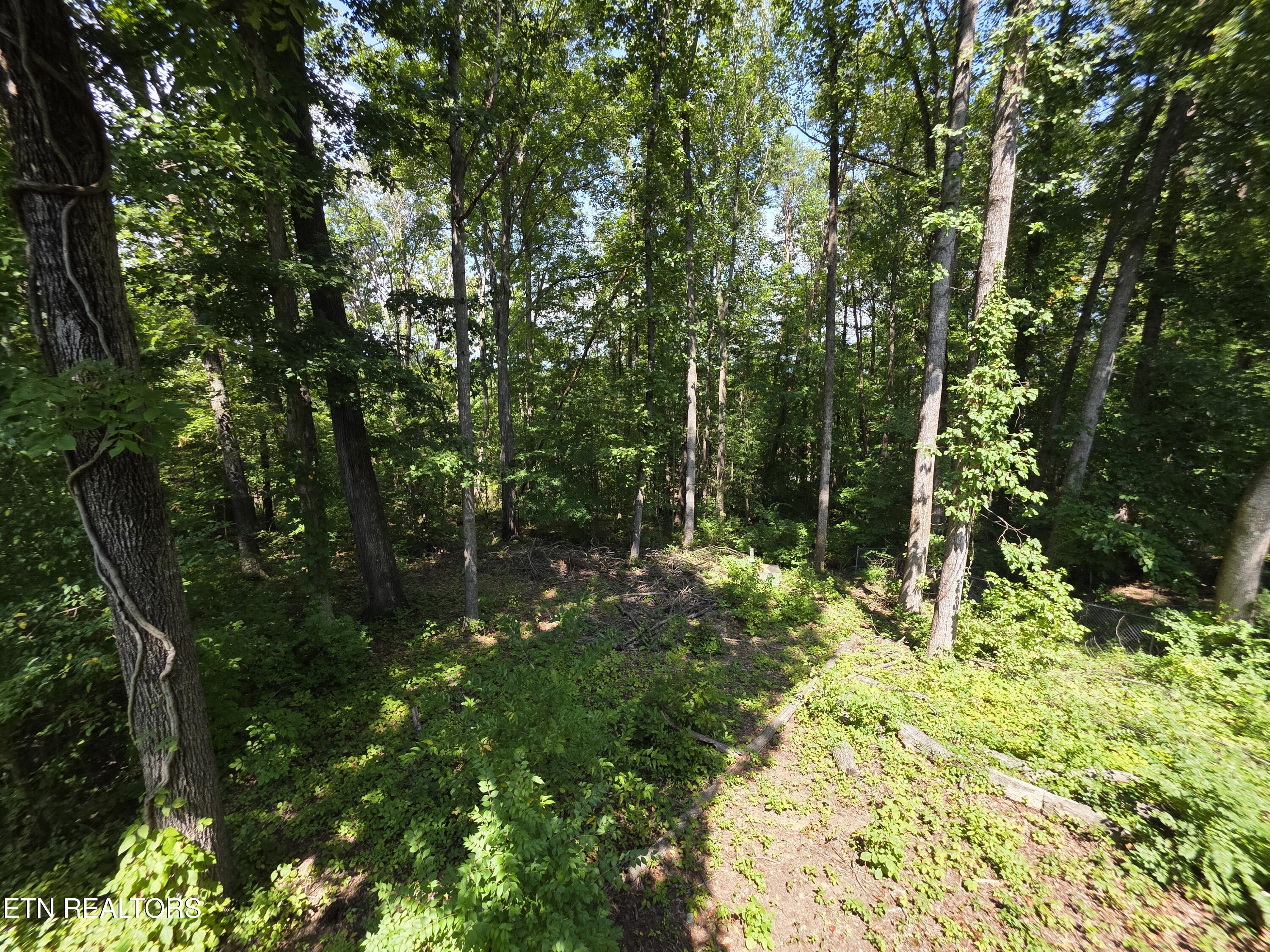 113 High Point Lane Oak Ridge, TN 37830 - Photo 23 of 24 1000005365