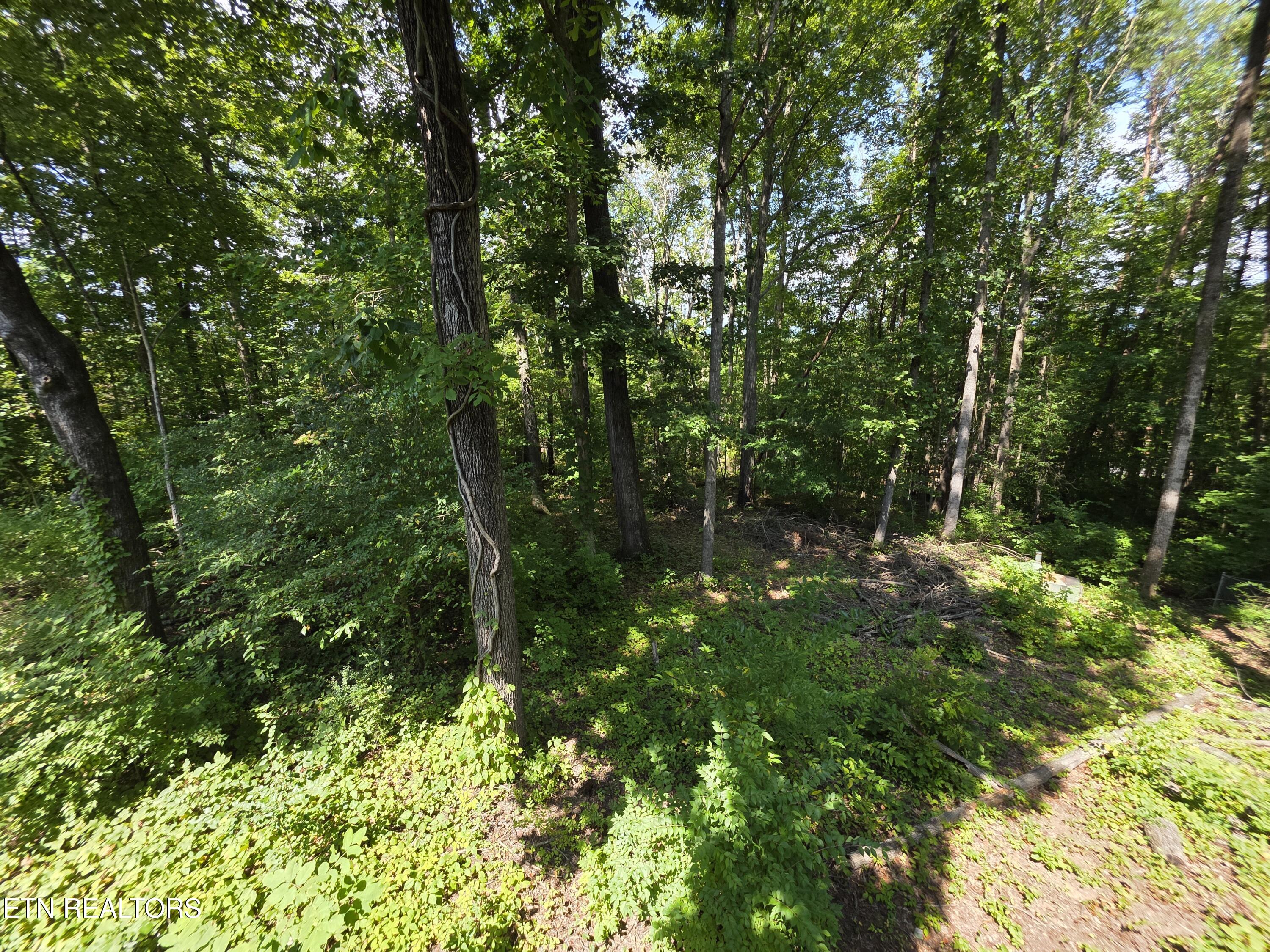 113 High Point Lane Oak Ridge, TN 37830 - Photo 24 of 24 1000005364